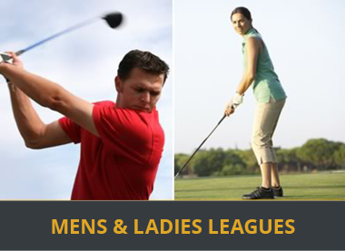 Mens, Ladies Leagues
